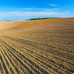 In cultivated fields to protect your crops and seeds… In cultivated fields to protect your crops and seeds…