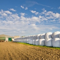 Agricultural tarpaulins for silage, corn, etc. Agricultural tarpaulins for silage, corn, etc.