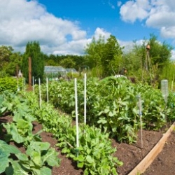 For gardens an gardening, For gardens an gardening,